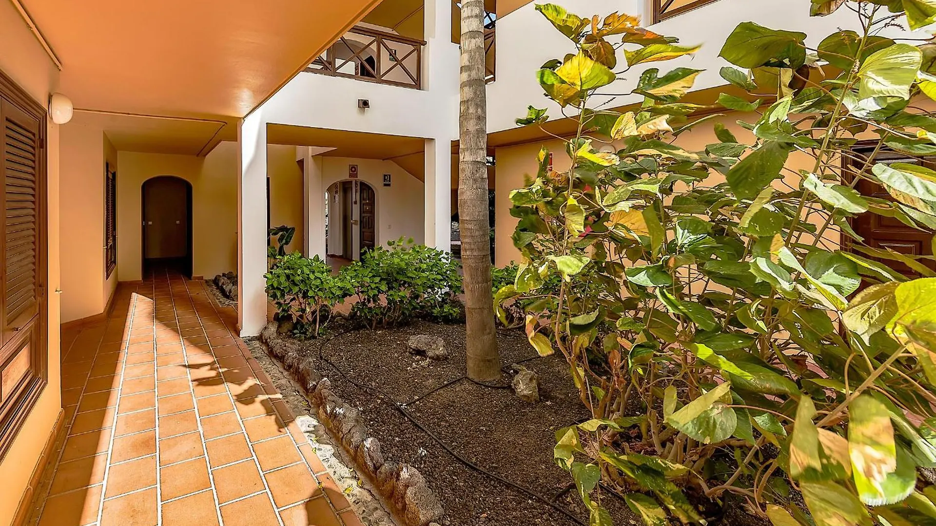 Ocean View Apartment In Albatros Golf Del Sur サンミゲル・デ・アボナ